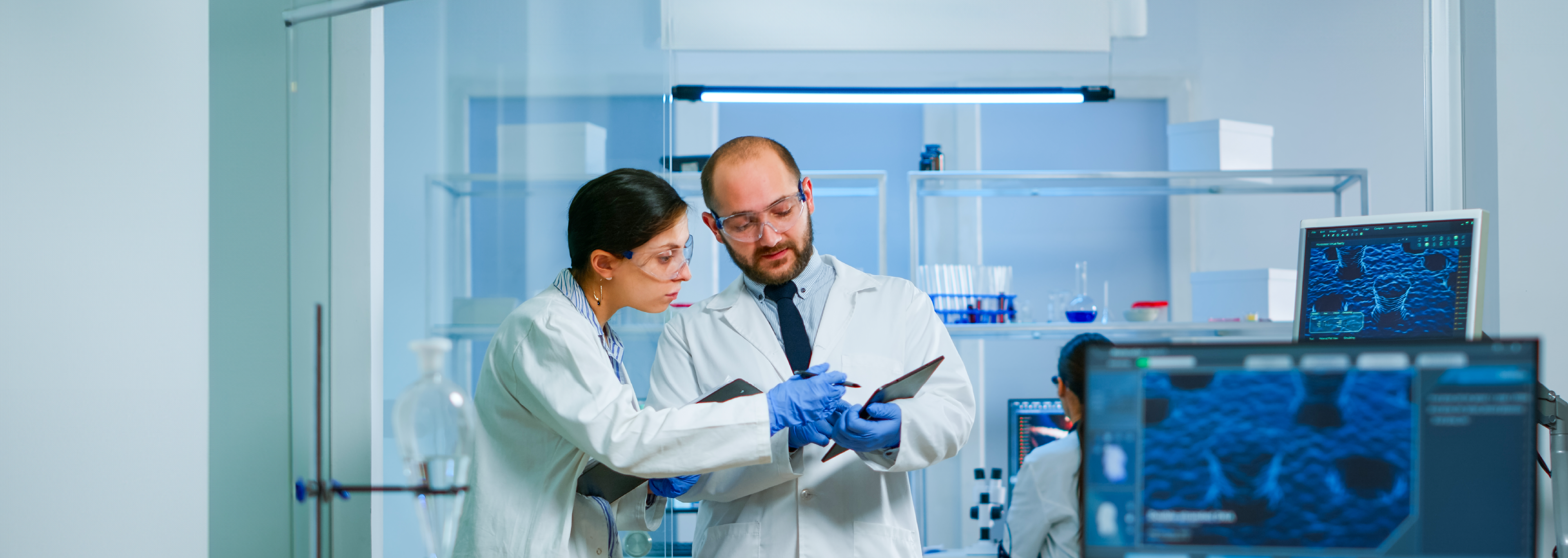 Fase Preclínica de la Microválvula: Respuesta del tejido y funcionalidad en conejos