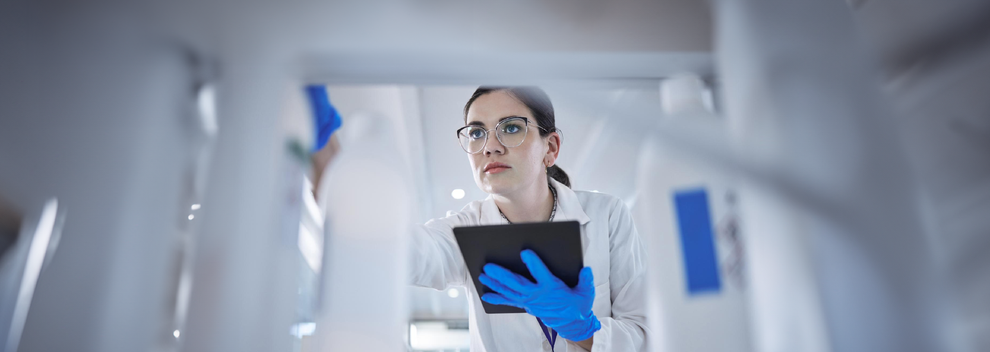 Evaluación de la microválvula en el modelo porcino