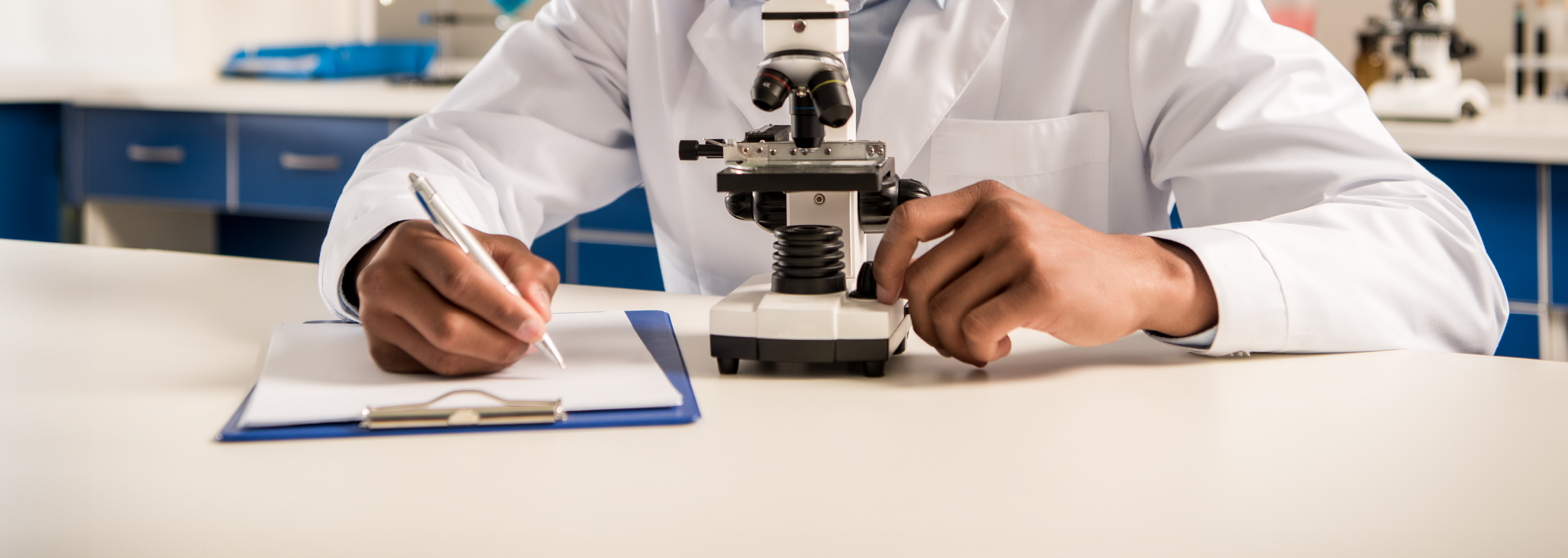 Integración sistémica y consistencia funcional de la microválvula: Etapa 2