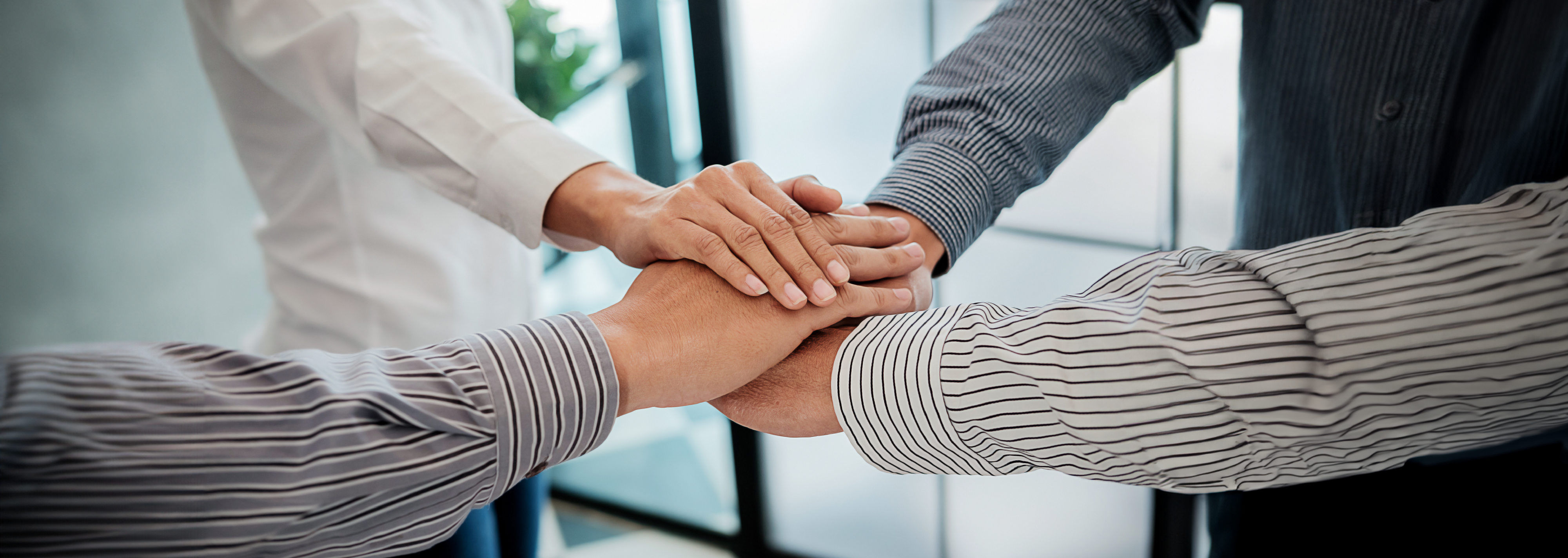 Aliados del cambio: Empresas con propósito