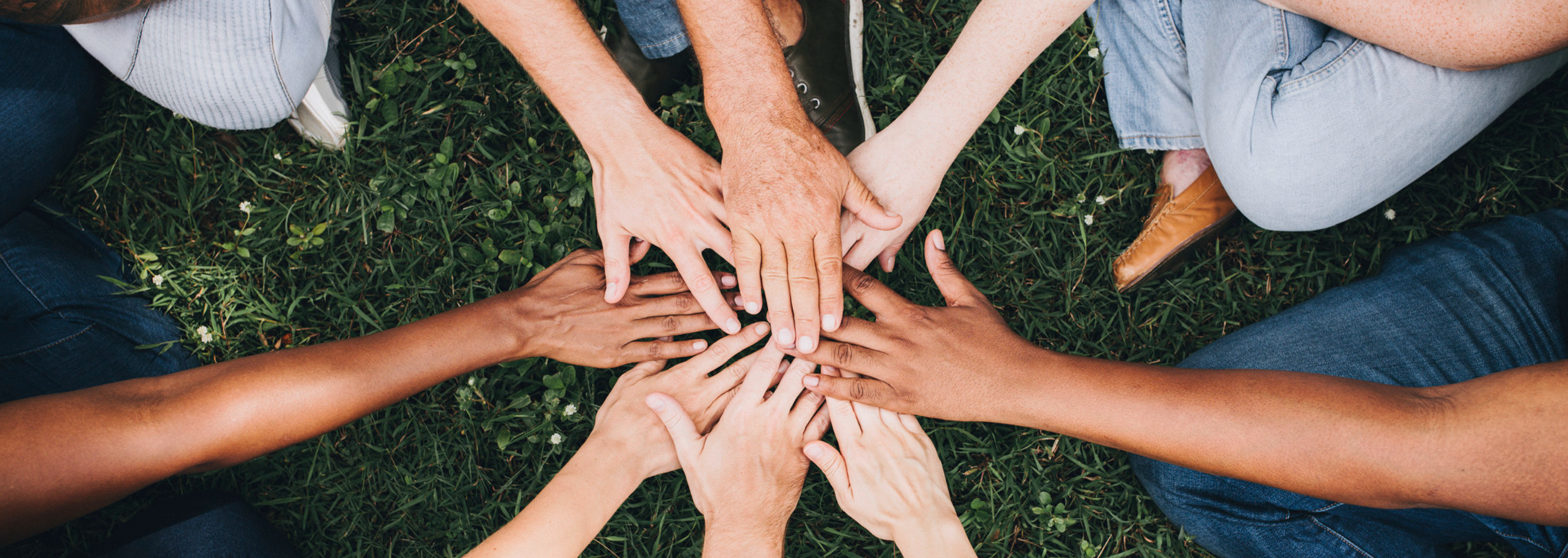 Diversidad y Discapacidad: ¿Realmente Somos una Sociedad Inclusiva?